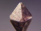 Chambersite Mineral